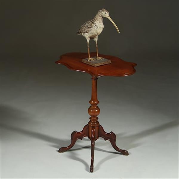 Grote foto willem iii wijntafel mahonie met geschulpt ovaal blad ca 1880 no.361855 antiek en kunst stoelen en banken