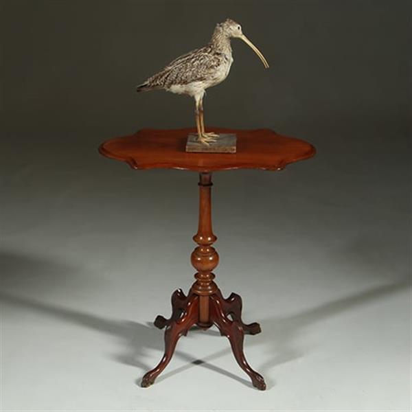 Grote foto willem iii wijntafel mahonie met geschulpt ovaal blad ca 1880 no.361855 antiek en kunst stoelen en banken