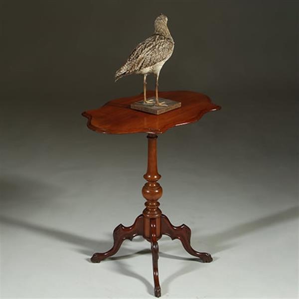 Grote foto willem iii wijntafel mahonie met geschulpt ovaal blad ca 1880 no.361855 antiek en kunst stoelen en banken