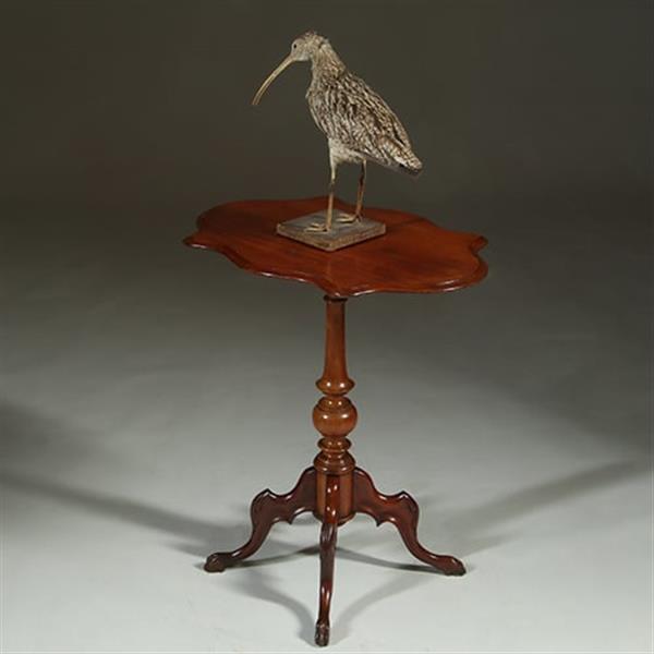 Grote foto willem iii wijntafel mahonie met geschulpt ovaal blad ca 1880 no.361855 antiek en kunst stoelen en banken