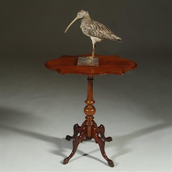 Grote foto willem iii wijntafel mahonie met geschulpt ovaal blad ca 1880 no.361855 antiek en kunst stoelen en banken