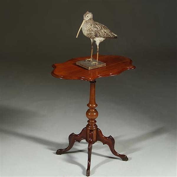 Grote foto willem iii wijntafel mahonie met geschulpt ovaal blad ca 1880 no.361855 antiek en kunst stoelen en banken