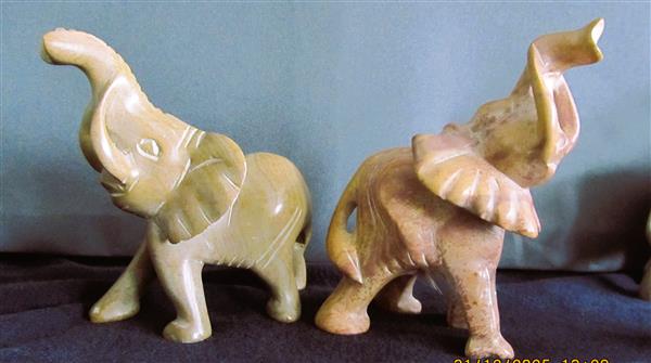 Grote foto olifantjes verzameling 44 stuks verzamelen dierenverzamelingen