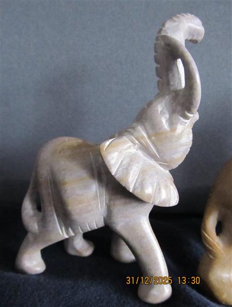 Grote foto olifantjes verzameling 44 stuks verzamelen dierenverzamelingen