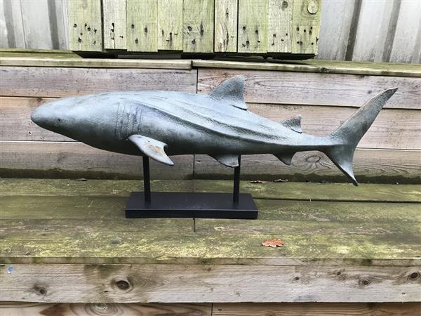 Grote foto beeld haai polystone decoratief tuin en terras tuindecoratie