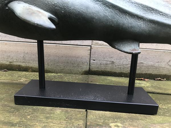 Grote foto beeld haai polystone decoratief tuin en terras tuindecoratie