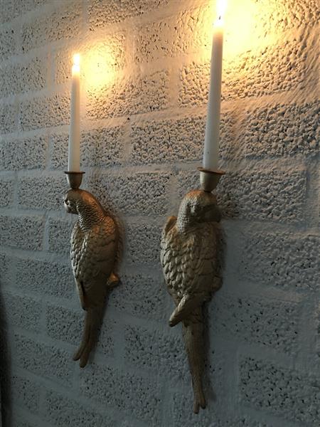Grote foto set gietijzeren papegaaien gold kleur als wand kandelaars mooi en apart tuin en terras tuindecoratie