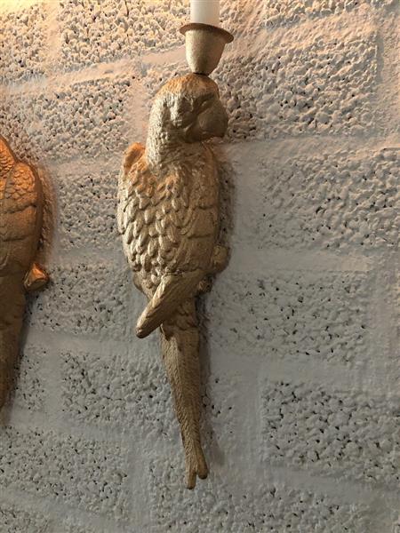 Grote foto set gietijzeren papegaaien gold kleur als wand kandelaars mooi en apart tuin en terras tuindecoratie