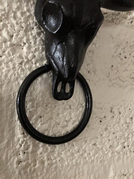 Grote foto gietijzeren bull skull met handdoek ring zwart fraai tuin en terras tuindecoratie