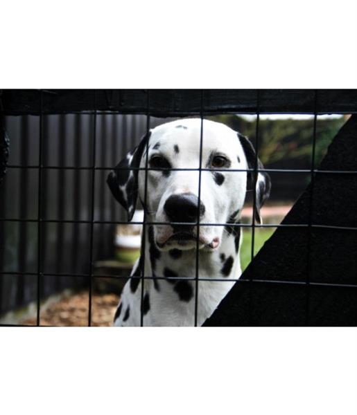 Grote foto rol tuin gaas 1mtr hoog maas 50 x 50 zwart dieren en toebehoren overige dierverblijven