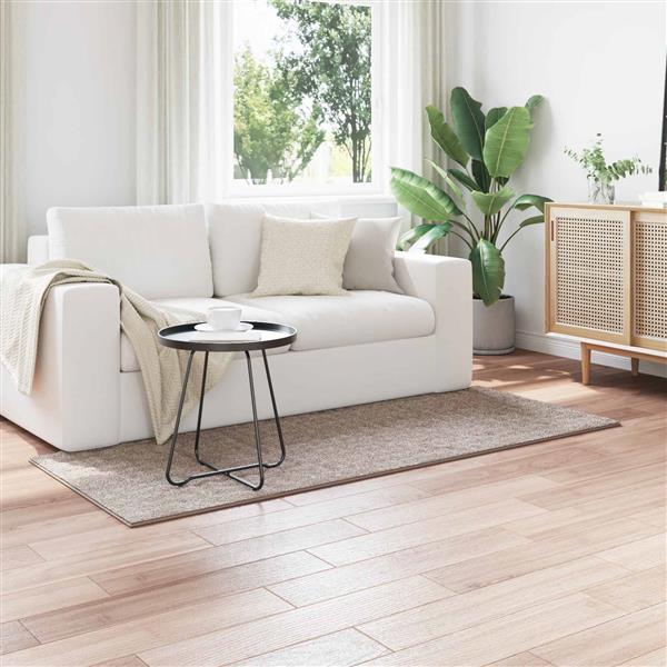 Grote foto vidaxl vloerkleden rechthoekig zand 150 x 80 cm huis en inrichting vloerbedekking en kleden