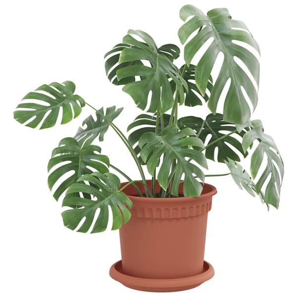 Grote foto vidaxl ronde bloemenschalen 24 pcs baksteenrood 14 x 2 cm kunststof tuin en terras overige tuin en terras