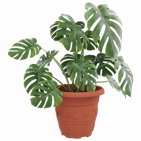 Grote foto vidaxl ronde bloempot 24 pcs baksteenrood 26 x 21.5 cm kunststof tuin en terras overige tuin en terras