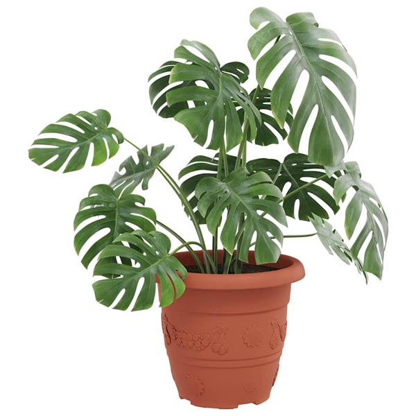 Grote foto vidaxl ronde bloempot 24 pcs baksteenrood 26 x 21.5 cm kunststof tuin en terras overige tuin en terras