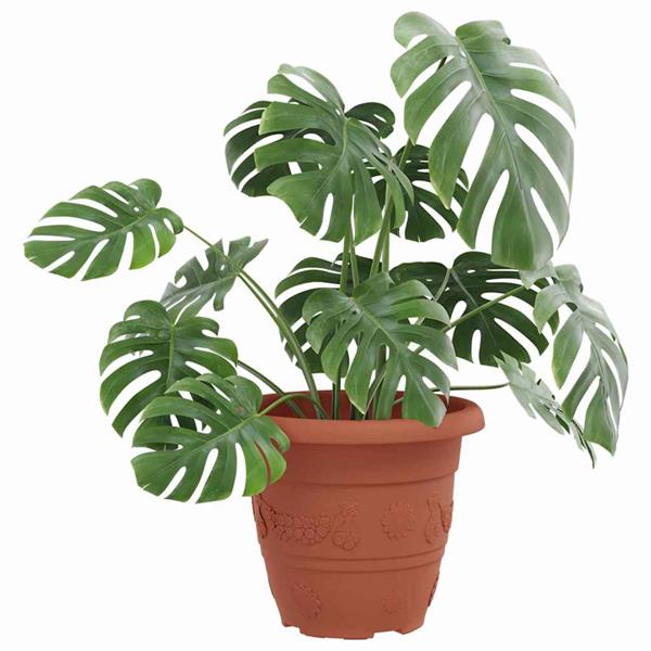 Grote foto vidaxl ronde bloempot 24 pcs baksteenrood 26 x 21.5 cm kunststof tuin en terras overige tuin en terras