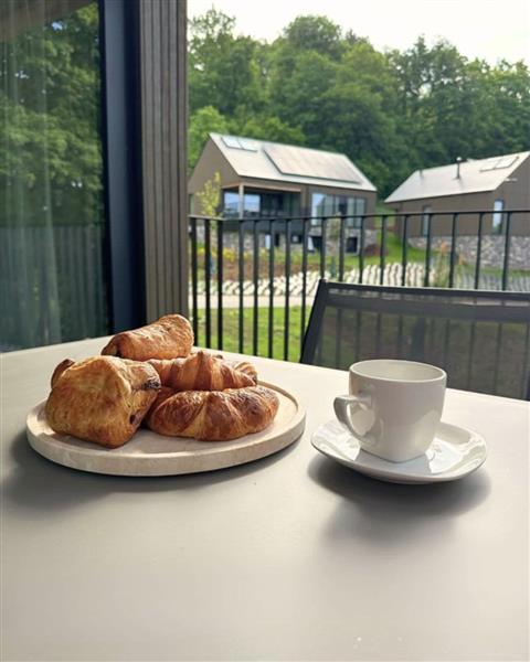 Grote foto luxe villa op een vakantiepark in de natuur. vakantie belgi