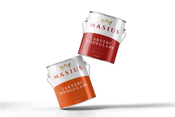 Grote foto masius lakverf hoogglans huisschilderverf doe het zelf en verbouw verven en sierpleisters