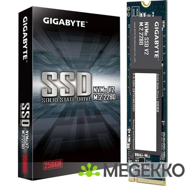 Grote foto gigabyte ssd v2 256gb m.2 computers en software harde schijven
