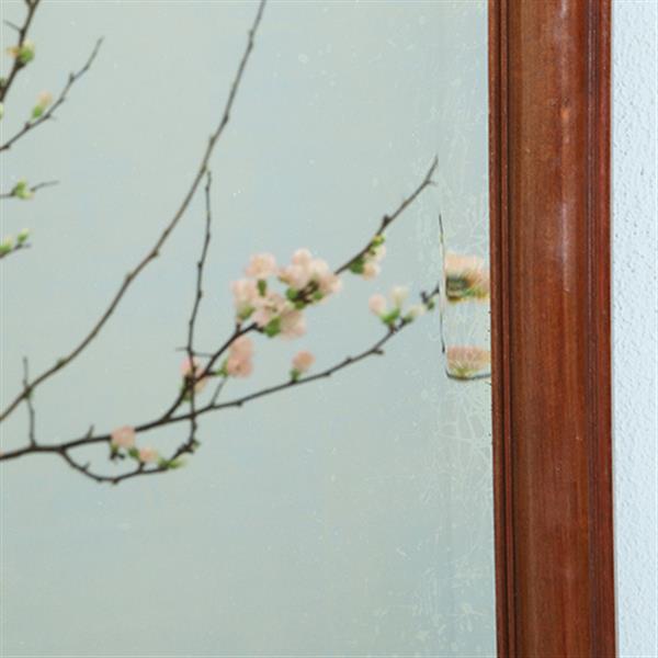 Grote foto enorme grote soester schouwspiegel facet geslepen in mahonie no.362905 antiek en kunst spiegels