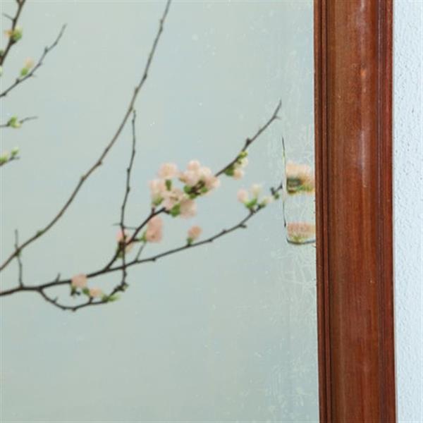 Grote foto enorme grote soester schouwspiegel facet geslepen in mahonie no.362905 antiek en kunst spiegels