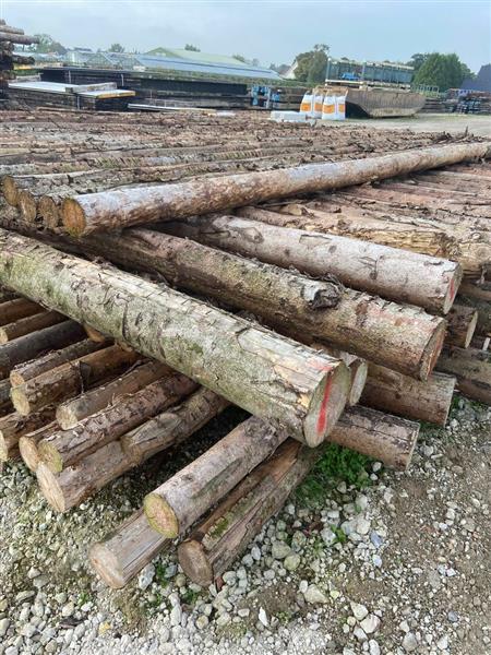 Grote foto spar in barst kop 12 14 600cm doe het zelf en verbouw hout en planken