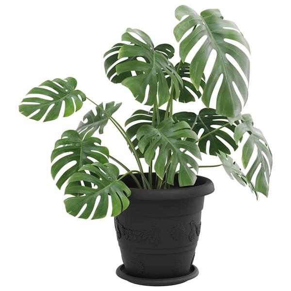 Grote foto vidaxl ronde bloemenschalen 24 pcs zwart 19 x 2 cm kunststof tuin en terras overige tuin en terras