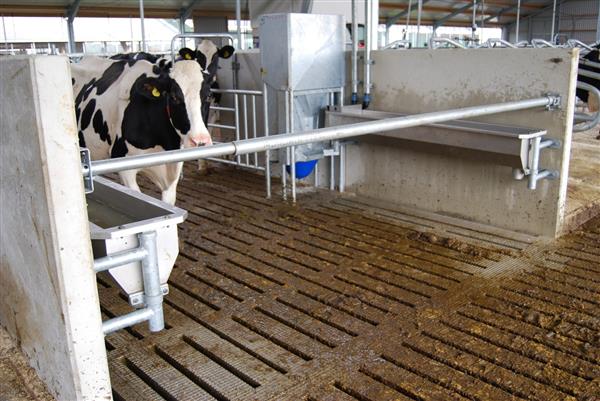 Grote foto slagboom eenvoudig 150 300 cm compleet robuust dieren en toebehoren runderen