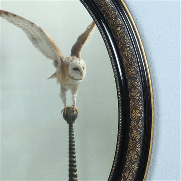 Grote foto ovale spiegel in zwart met zilver bekroond door cupido met pijlen en toorts no.362705 antiek en kunst spiegels