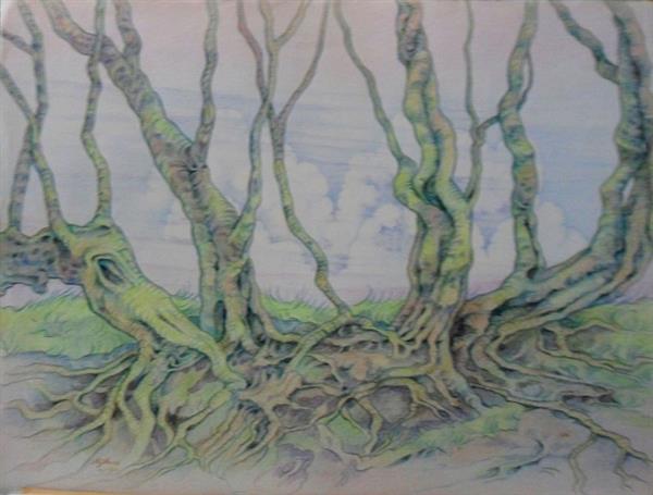 Grote foto kunsthandel gennep bomen en wortels antiek en kunst modern