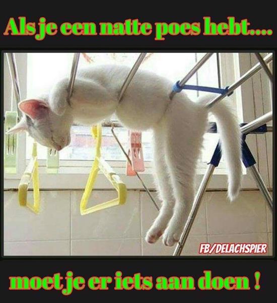 Grote foto nette weduwnaar zoekt dito dame erotiek man zoekt vrouwelijke sekspartner