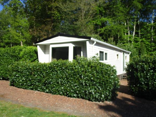 Grote foto bospark trimunt op grens van friesland groningen caravans en kamperen campings