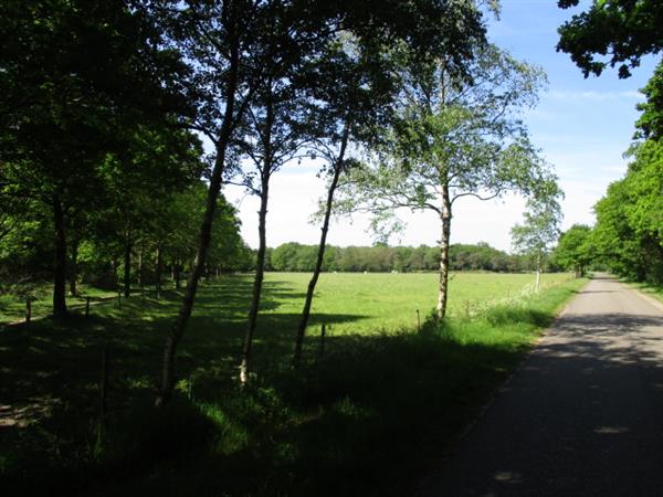 Grote foto bospark trimunt op grens van friesland groningen caravans en kamperen campings