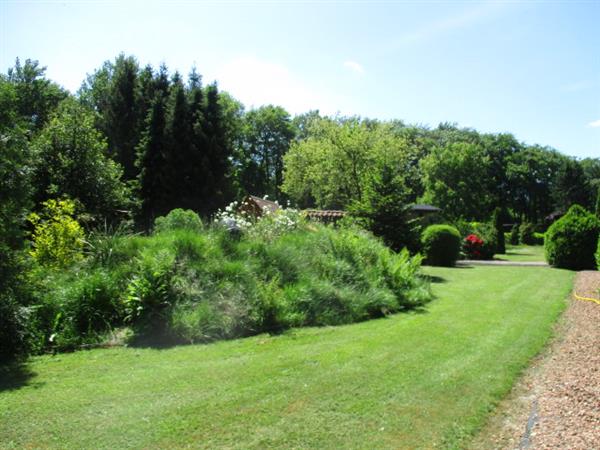 Grote foto bospark trimunt op grens van friesland groningen caravans en kamperen campings