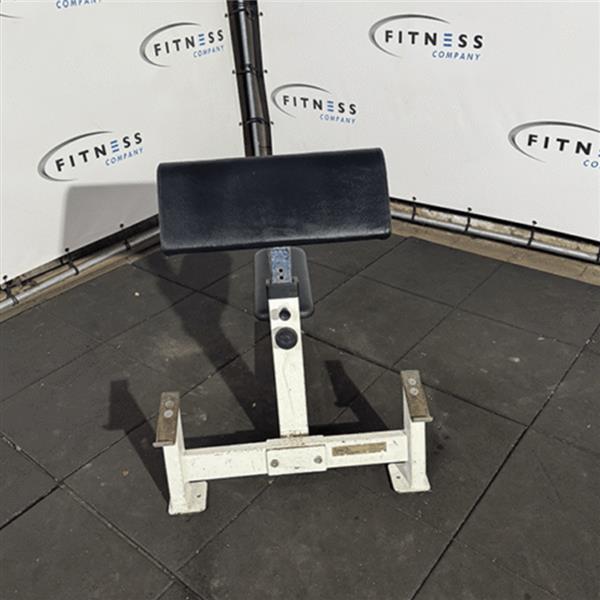 Grote foto david 70 bicep curl sport en fitness fitness