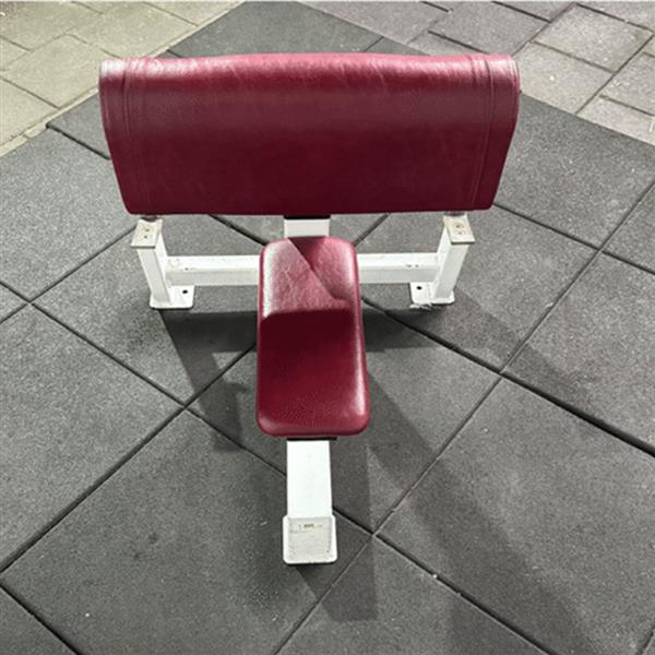 Grote foto david 70 bicep curl sport en fitness fitness