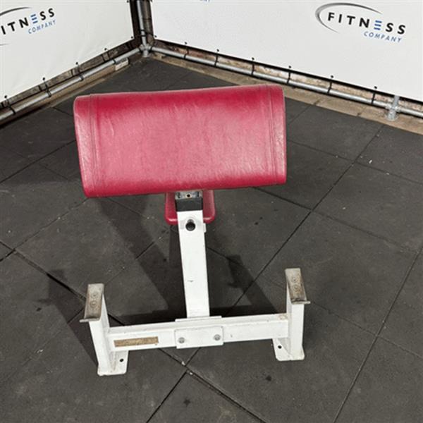 Grote foto david 70 bicep curl sport en fitness fitness