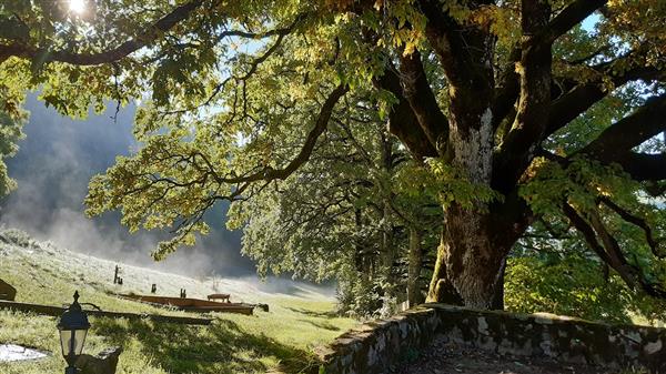 Grote foto huur een safaritent vakantie frankrijk