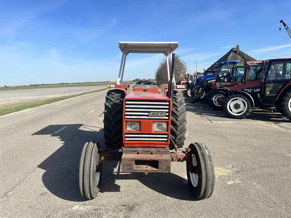 Grote foto fiat 55 66 agrarisch tractoren