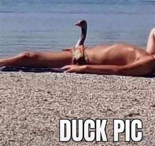 Grote foto naakt contacten en berichten man zoekt man