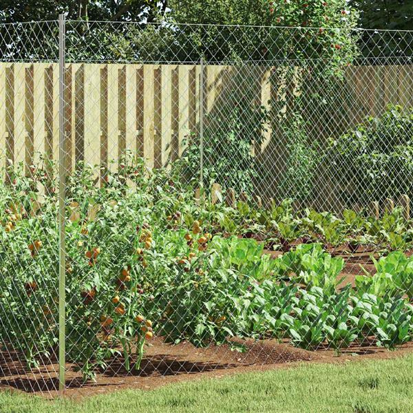 Grote foto vidaxl kettenschakelhek gegalvaniseerd 2 x 10 m glas tuin en terras tuindecoratie