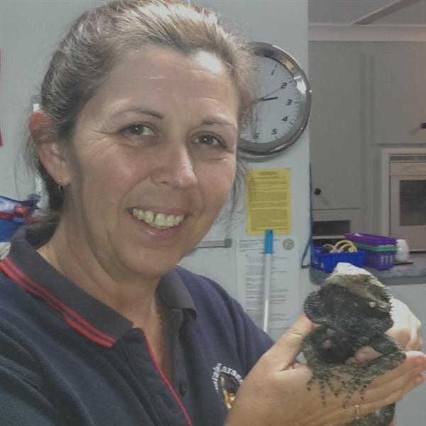 Grote foto ook nog midden in het leven contacten en berichten vrouw zoekt man