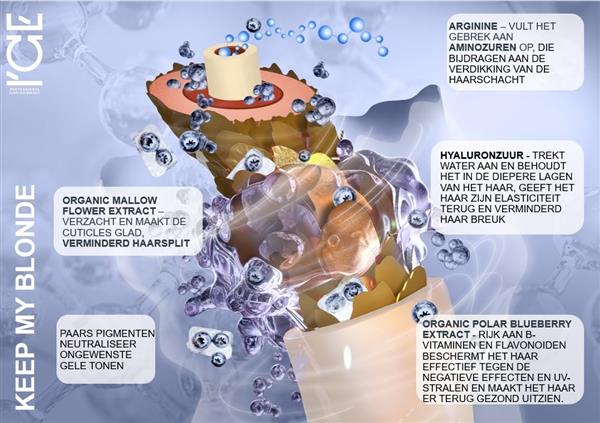 Grote foto ice professional keep my blonde shampoo 1000ml kleding dames sieraden