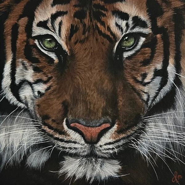 Grote foto kunsthandel gennep eye of the tiger antiek en kunst modern