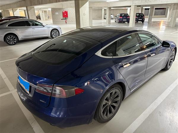 Grote foto tesla model s model s 100d auto tesla