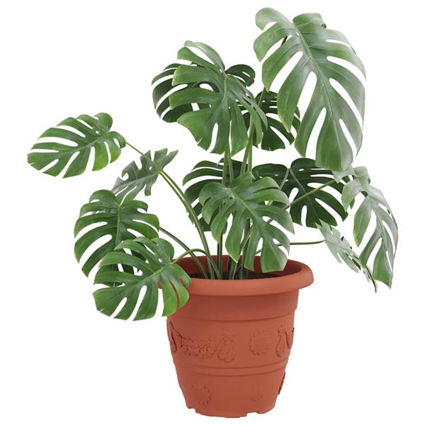 Grote foto vidaxl ronde bloempot 24 pcs baksteenrood 26 x 21.5 cm kunststof tuin en terras overige tuin en terras