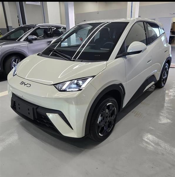 Grote foto byd seagull dolphin mini v hicule lectrique 2025 auto overige merken