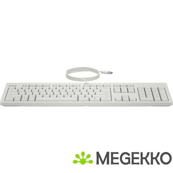 Grote foto hp 225 muis en toetsenbord met kabel computers en software overige computers en software