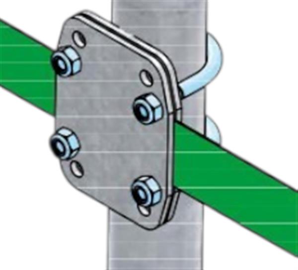 Grote foto klemplaat voor keerband 2 standpijp dieren en toebehoren runderen