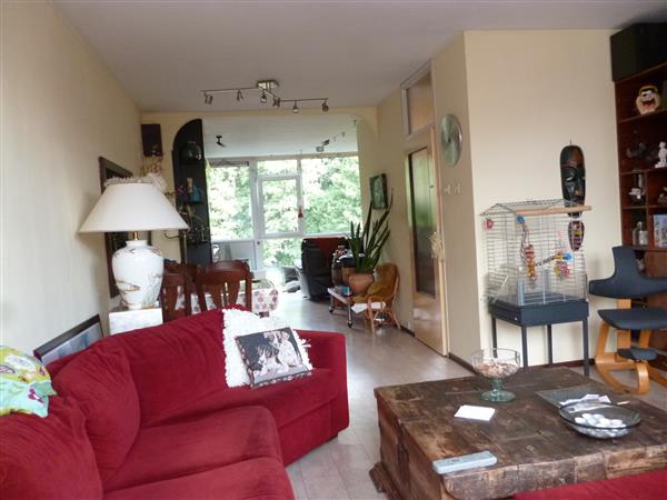 Grote foto ruime eengezinswoning met tuin aan park huizen en kamers kangoeroewoning