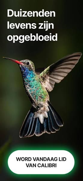 Grote foto calorie nteller calorie teller.nl beauty en gezondheid afslankproducten